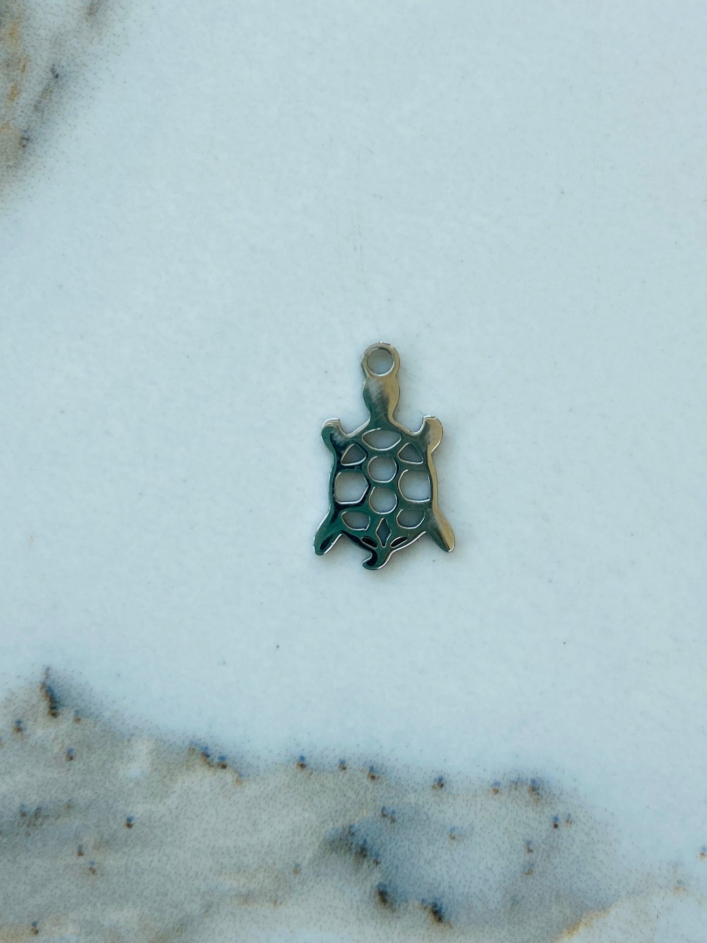 Bedel zilver schildpad